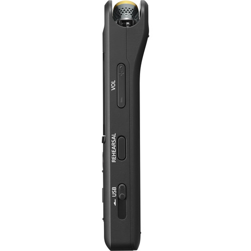 Sony PCM-A10 High-Resolution Portable Digital Voice Recorder - Image 3
