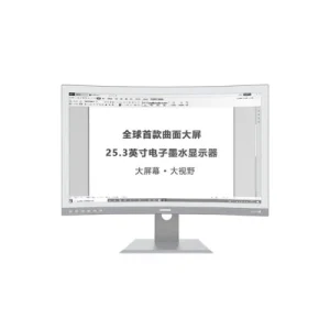 DASUNG 25.3